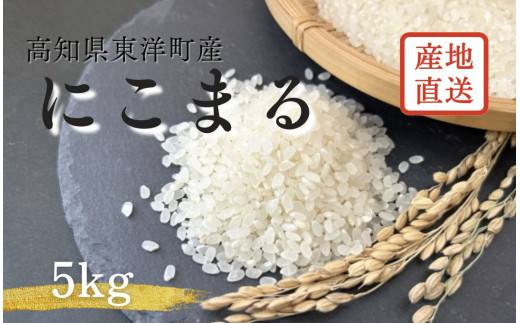 S249-1 ＜2025年10月発送＞令和7年産にこまる ＜5kg＞国産 米 新米 お米 高知県産