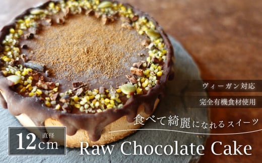 Rawチョコレートケーキ4号