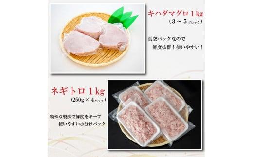 まぐろ 食べ比べ (赤身 ネギトロ) 小分け 真空パック 冷凍 マグロ 鮪 マグロのたたき TY030