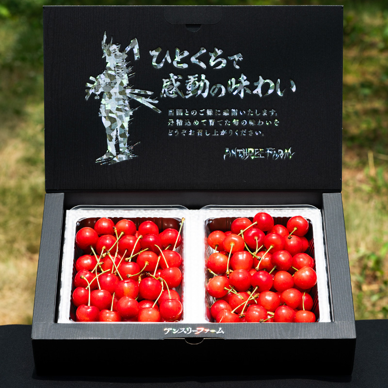 2025年産 さくらんぼ 「紅秀峰」 600g 特秀品 Lサイズ以上 山