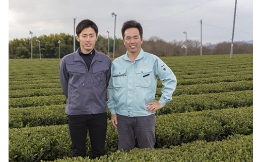 川上製茶 相良茶3個と国産急須のセット
