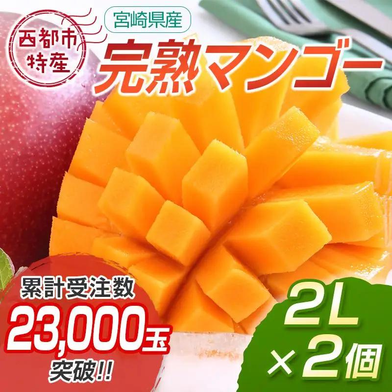 【先行予約】西都市産完熟マンゴー2L×2個　計700g以上 2026年発送＜18-5a＞