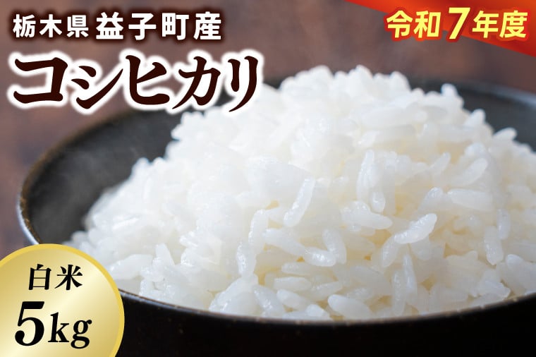 
            ＼令和7年産・先行予約／【数量限定】あい　farm　やなぎのお米　令和7年産 コシヒカリ 白米 5kg | 栃木県 益子町 ふるさと納税 お米 米 5kg 白米 (DQ007)
          