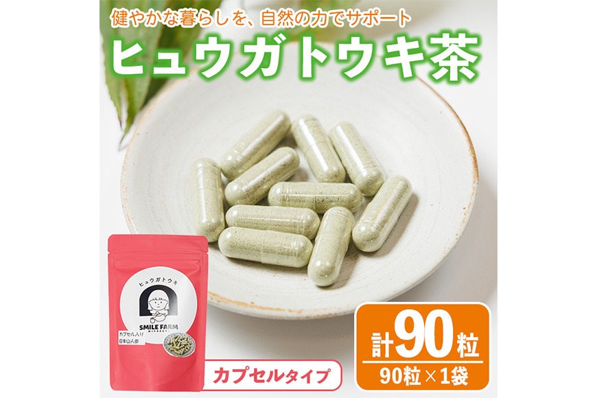 ヒュウガトウキ茶 カプセル(90粒×1袋) トウキ茶 お茶 便利 簡単 生薬 ヒュウガトウキ 日本山人参 宮崎県産 国産【SF-02】【SMILE FARM】