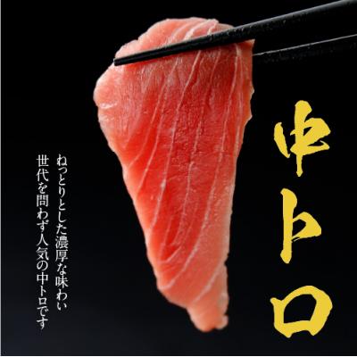 ふるさと納税 むつ市 津軽海峡　大間産　極上本マグロ　刺身用サク　中トロ |  | 01