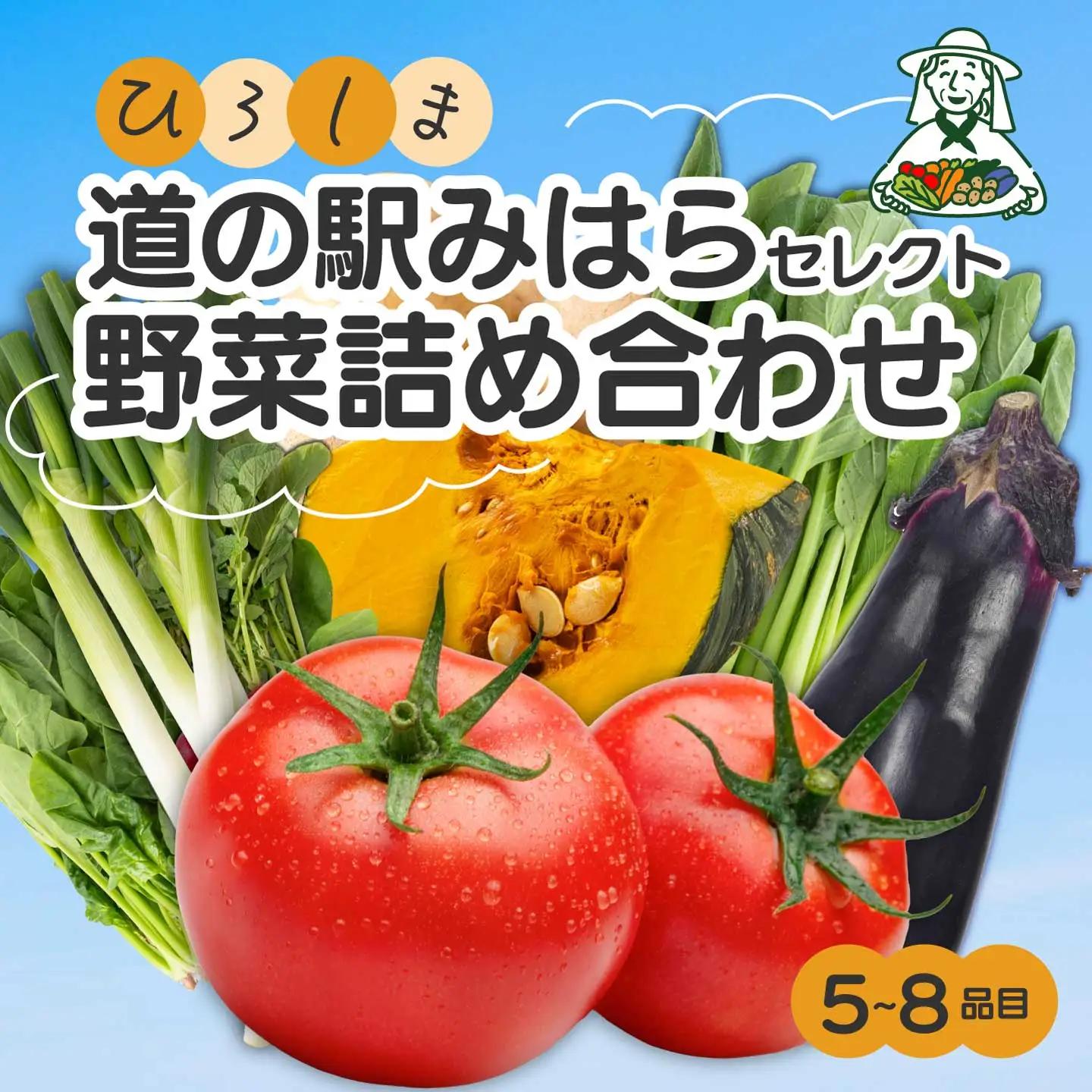 【お試し】道の駅セレクト 旬野菜つめあわせ やさい 野菜 詰め合わせ 5～8品目 新鮮 国産 健康 ヘルシー サラダ 鍋 季節 043044
