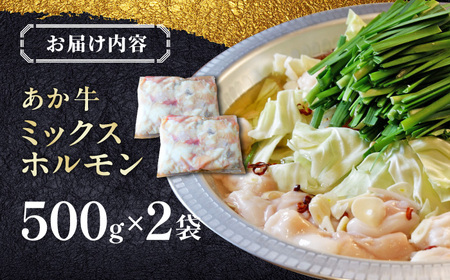 熊本和牛あか牛ホルモン 1?s 【有限会社 三協畜産】[YCG114]