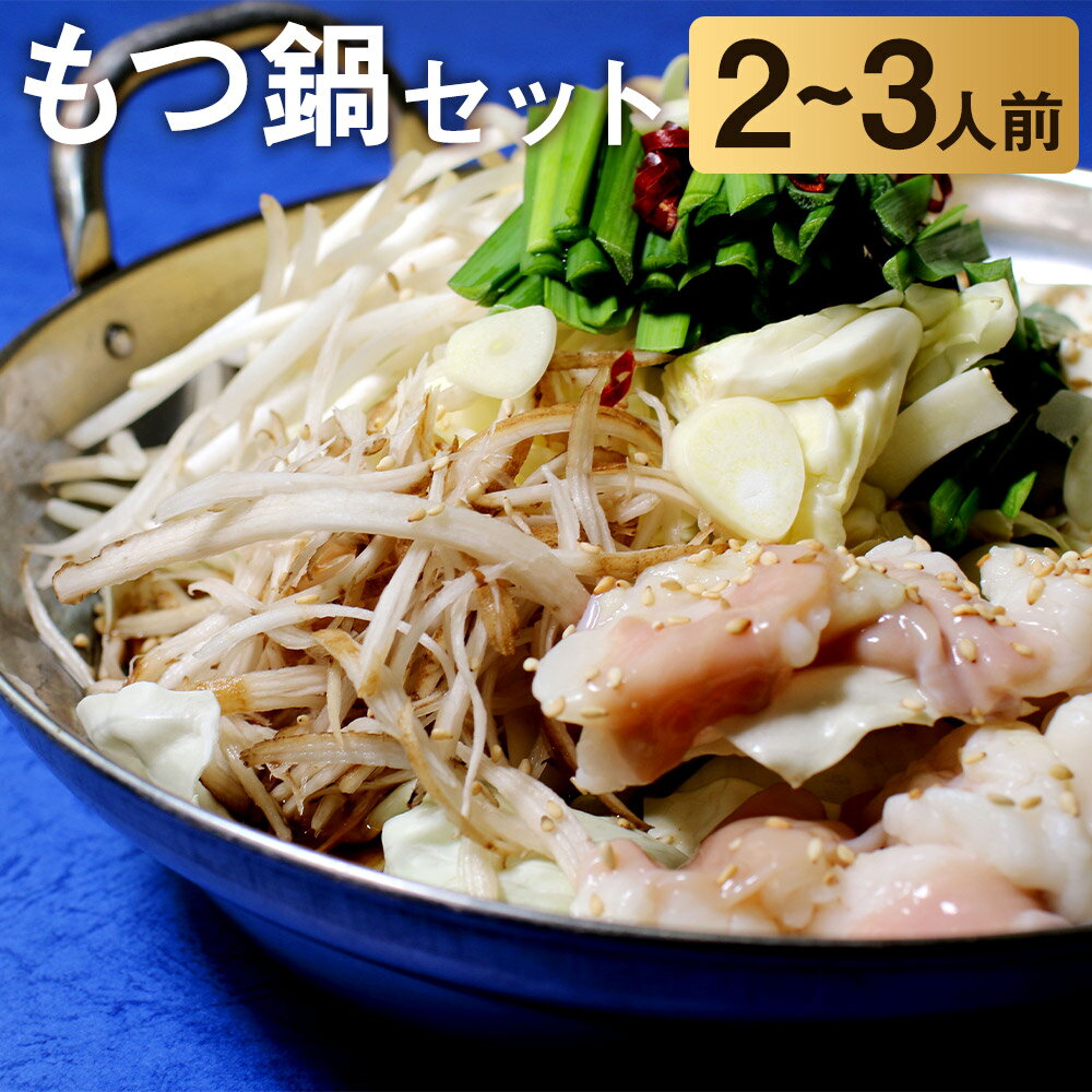 【ふるさと納税】もつ鍋セット 2〜3人前 スープ 中華麺 ホルモン 小腸 もつ鍋 ホルモン鍋 鍋セット 冷蔵 送料無料《90日以内に出荷予定(土日祝除く)》