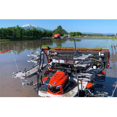 ふるさと納税 つがる市 令和7年産 つがる市産 まっしぐら 白米 10kg [0938] |  | 03