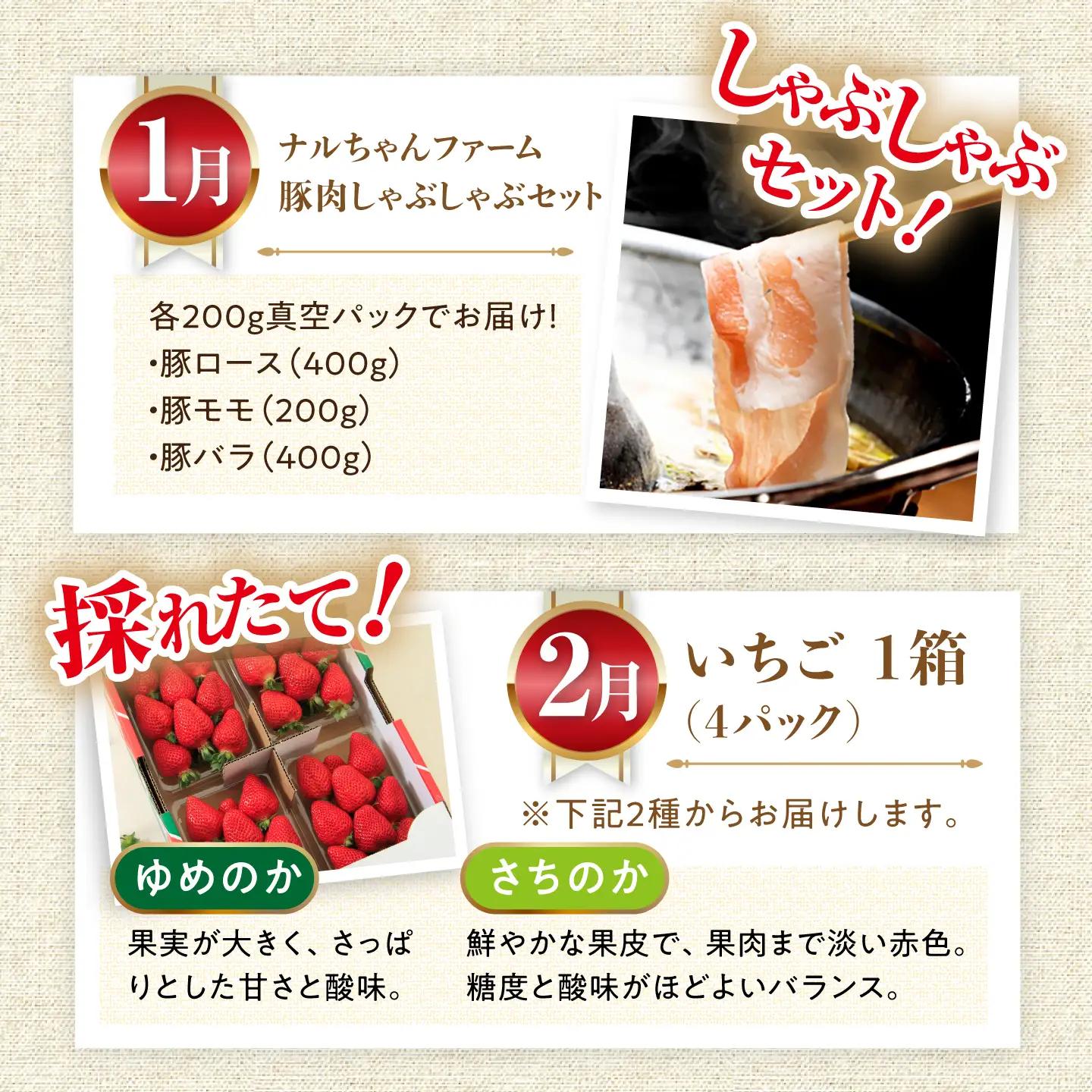 定期便 全12回 豚肉と旬の農産物 定期便 [ACAA124]