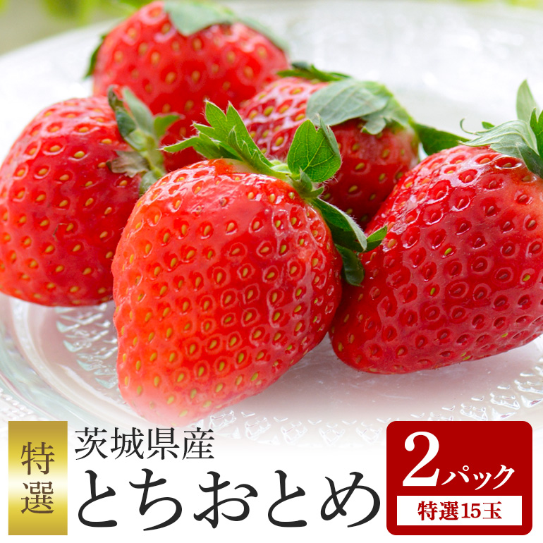 とちおとめ 特選15玉 2パック ＜2026年1月中旬～3月上旬発送予定＞ （茨城県共通返礼品 石岡市） 71-F