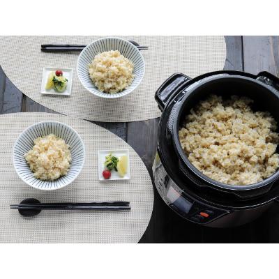 ふるさと納税 豊中市 「ポン」と入れて「ピッ」と押すだけ!　電気圧力鍋 3L OEDC30G |  | 02