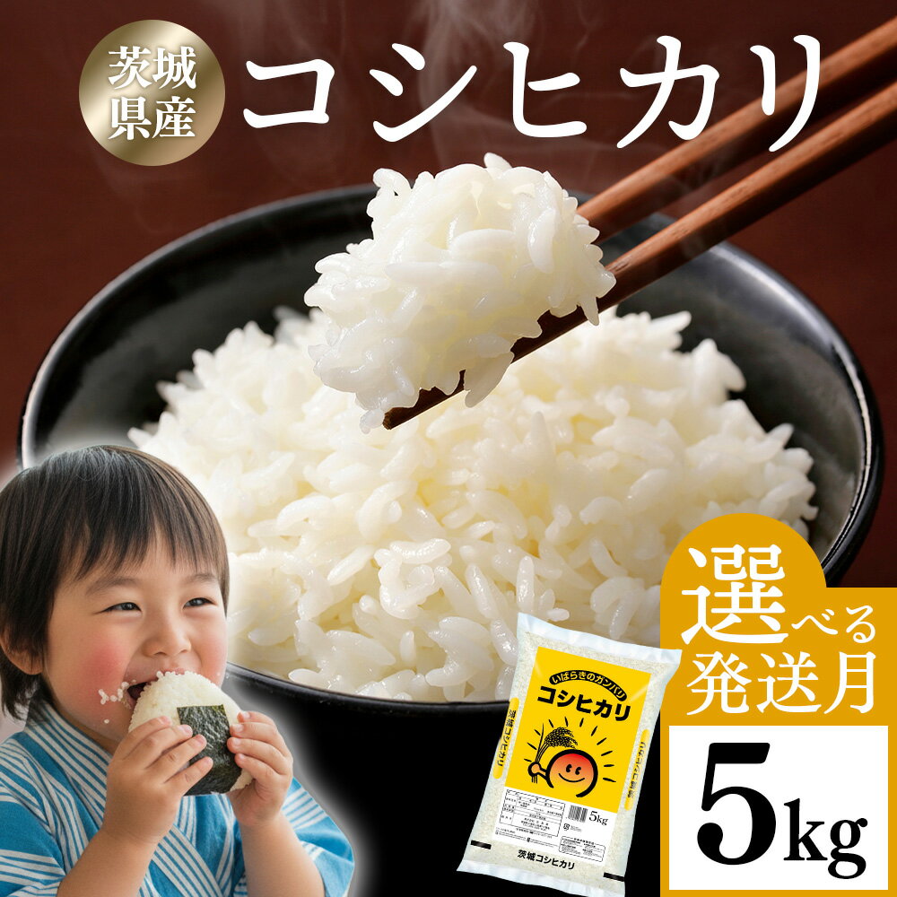【ふるさと納税】【発送月が選べる】米 5kg 新米 令和7年産 茨城県産 コシヒカリ ｜ 一等米 精米 人気 発送月 選べる 白米 お米 白米 こしひかり コシヒカリ5kg コメ こめ ブランド米 R7年産 茨城県 常総市 茨城県常総市産 年末年始 お中元 お歳暮 内祝い 快気祝い