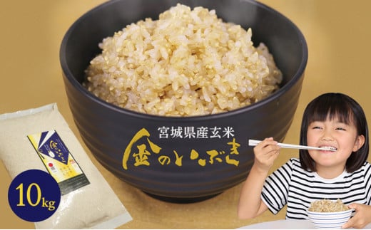 金のいぶき 玄米 10kg | 米 お米 こめ 玄米 ご飯 ライス 産地直送 数量限定 ブランド米 玄米食 送料無料 ※2024年11月上旬頃より順次発送予定