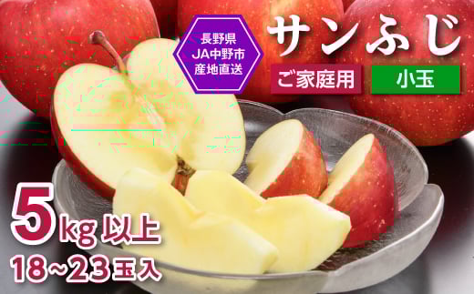 JA中野市「サンふじ」ご家庭用「小玉」5kg以上(18～23玉入)_ りんご リンゴ 林檎 ふじ フジ サンフジ サンふじ 小玉 家庭用 フルーツ 果物 くだもの 青果 デザート長野県 中野市 JA 産地直送 産直 濃厚 蜜入り 【1526204】