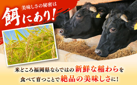 【厳選部位】博多和牛 サーロイン しゃぶしゃぶすき焼き用 1kg（500g×2p）   桂川町/株式会社 MEAT PLUS[ADAQ082] おすすめ 人気 ランキング 地方特産品 美味しい肉 和牛