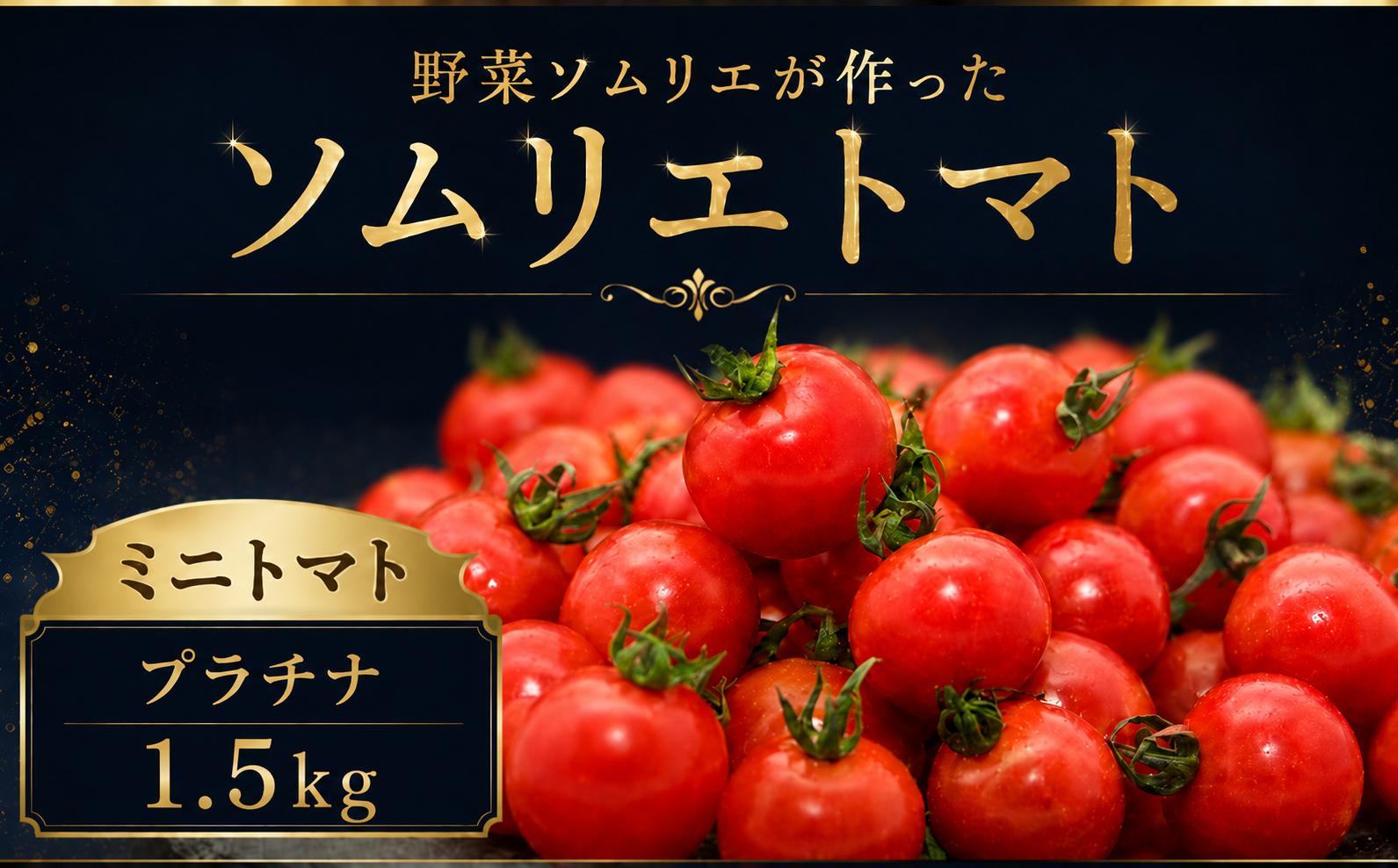 
                  【特別栽培農産物】ソムリエミニトマト・プラチナ（ 1.5kg ） | 野菜 やさい トマト とまと 銀賞 熊本県 玉名市
                