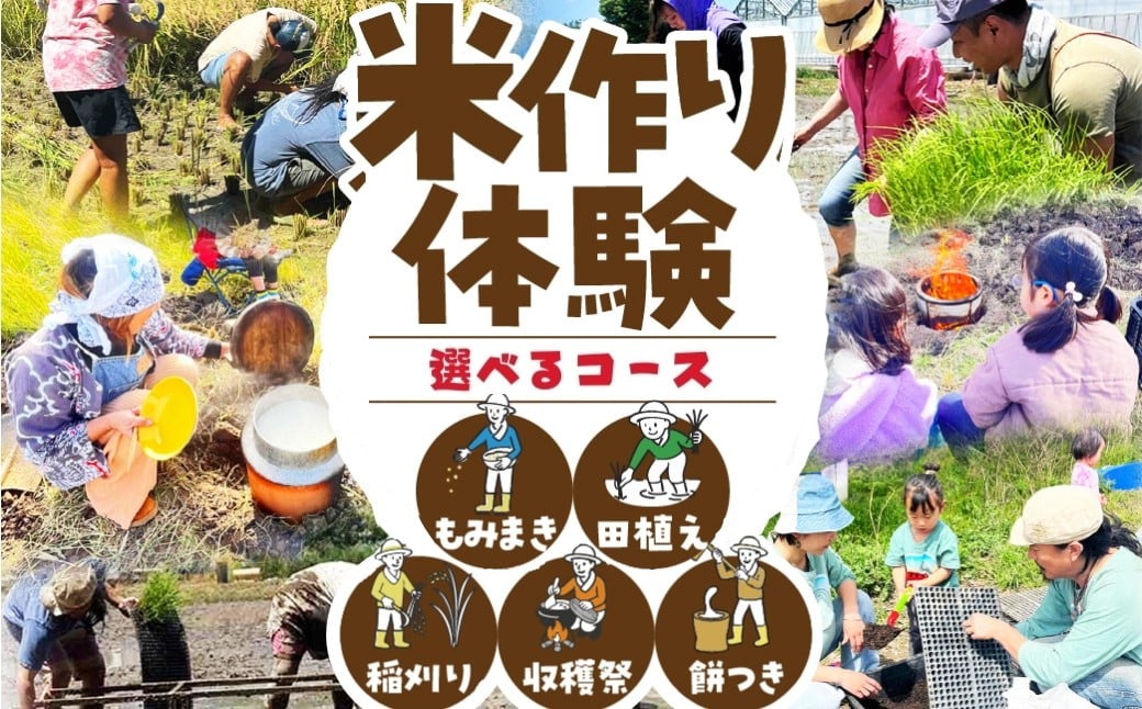 
                  米作り体験 選べる もち 餅 米作り 手作業 無農薬 体験 お米 米 親子 イベント 自然 自然体験
                