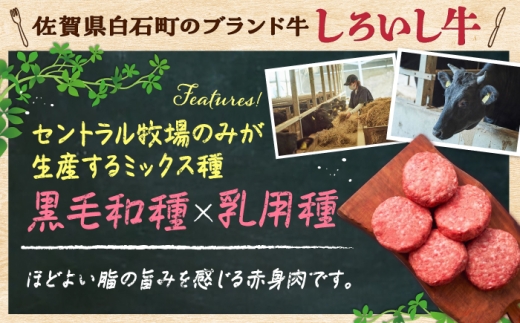 佐賀県産 しろいし牛 手ごねハンバーグ 5個（1個120g） / 牧場直送 国産 牛肉 ハンバーグ おかず / 佐賀県 / 有限会社佐賀セントラル牧場 [41ASAA323]
