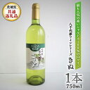 【ふるさと納税】八千代夢ワインシリーズ　きぬ（白ワイン）1本（茨城県共通返礼品 八千代町） 国産 ワイン 白ワイン