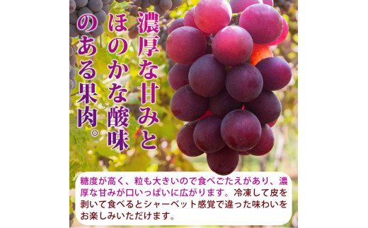 【全4回】紀州和歌山産旬のフルーツ定期便 (スイカ・桃・巨峰・シャインマスカット) / すいか スイカ もも 桃 白桃 巨峰 マスカット シャインマスカット 葡萄 ぶどう 果物 くだもの フルーツ フ
