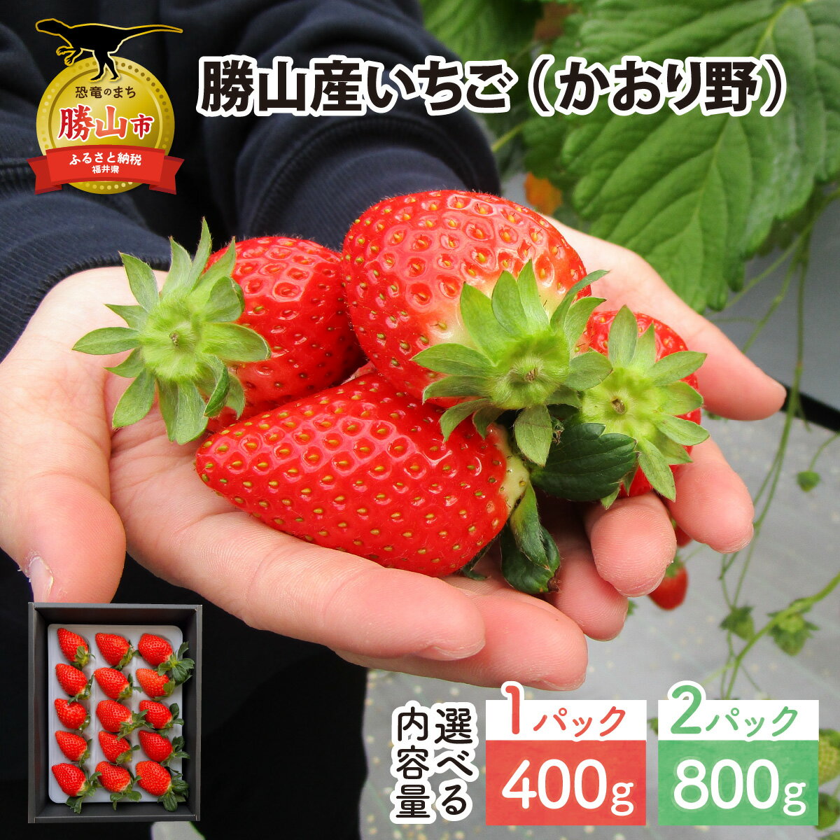 【ふるさと納税】【先行予約】【内容量が選べる】勝山産いちご（かおり野）400g×1パック・2パック / フルーツ 果物 イチゴ 苺 甘い 400g べり果 北陸 福井県 勝山市 ※2025年12月上旬より順次発送