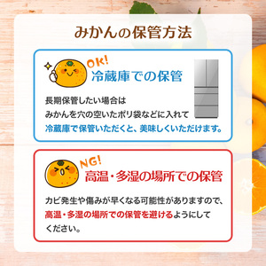 甘夏 10kg 愛媛県 秀品 四国中央市産 送料無料 果物 フルーツ