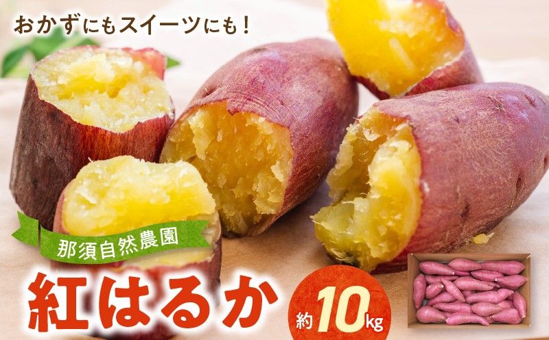 
                  那須自然農園 「紅はるか」約10kg _U15-0556
                