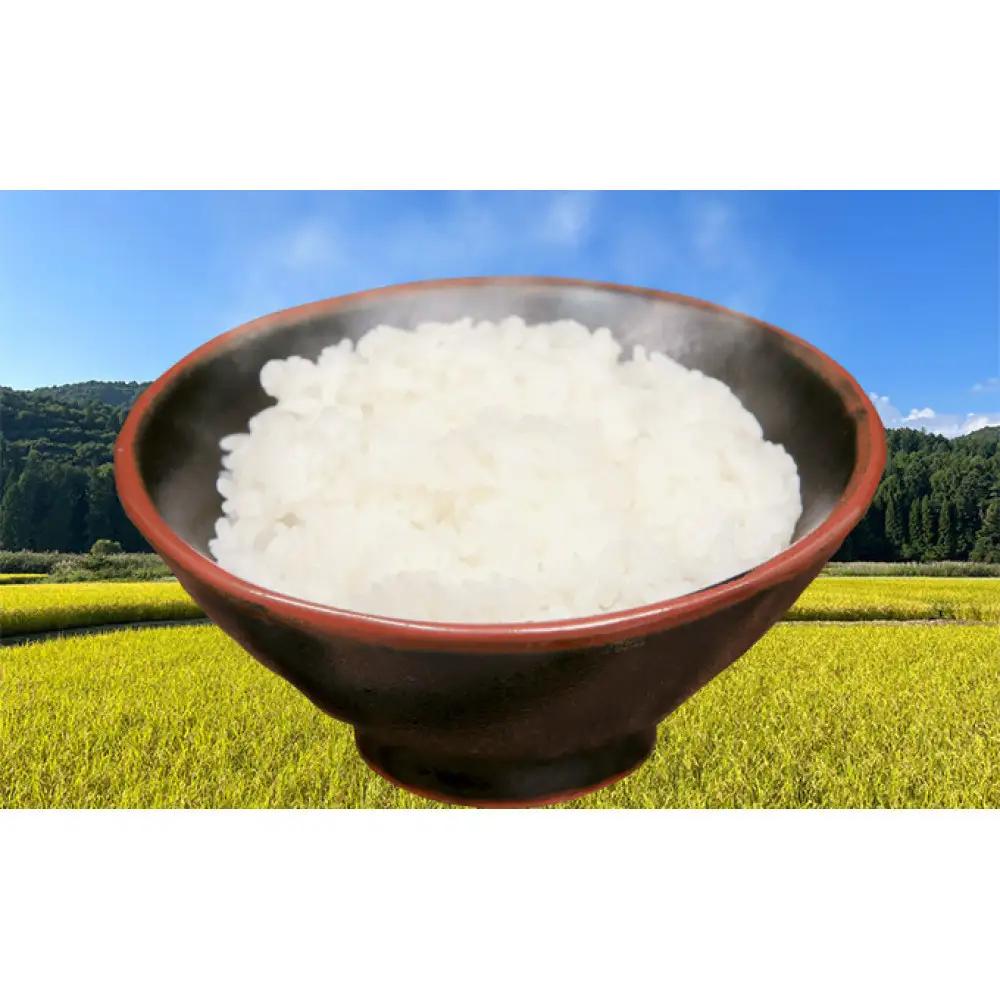 信州長野市芋井産 あきたこまち 5kg | 米 あきたこまち 信州産 精米