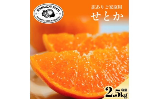 ＜数量限定＞今シーズン発送!＜訳あり＞せとか 2.5kg＜A70-155＞【1707145】