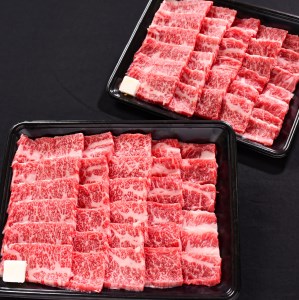 ＜2024年5月発送＞黒毛和牛「山形牛」 焼肉用1kg（500g×2パック） モモ・肩・バラお任せ 036-D-YL027