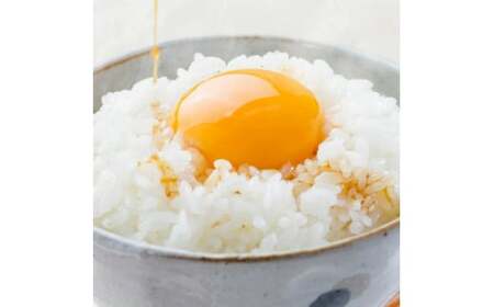 熊本県菊池産 ヒノヒカリ 5kg×6袋 計30kg 精米 お米 白米 令和5年産