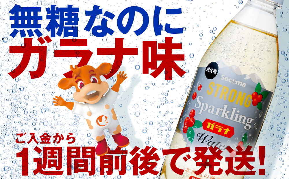 【定期便6ヵ月】セコマ ガラナ 強炭酸水 500ml 24本 1ケース 北海道 千歳製造 飲料 炭酸 ペットボトル