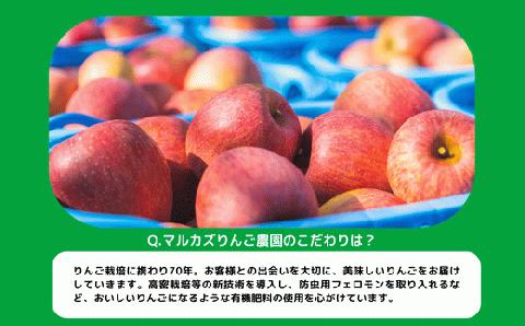 りんごジュース ( 季節のりんご ) 1000ml × 6本 果汁100% マルカズりんご農園 沖縄県への配送不可 長野県 飯綱町 [0988]