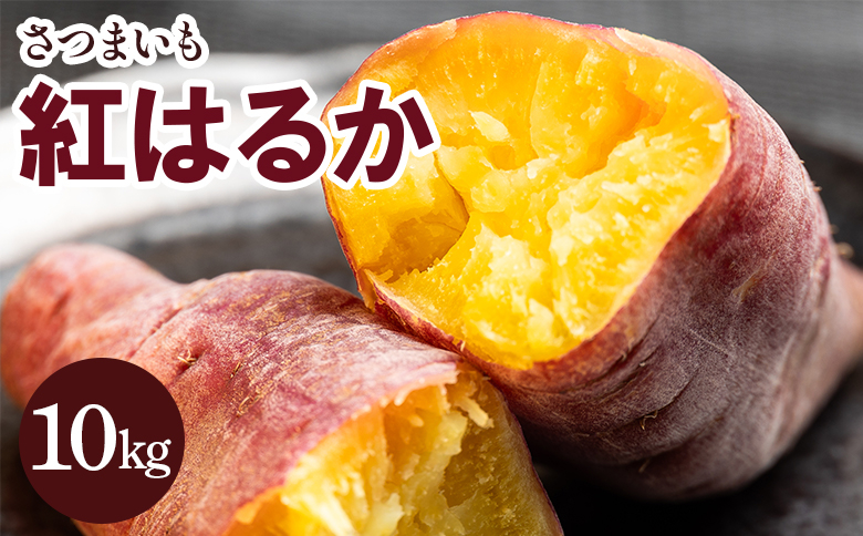 
            さつまいも 紅はるか10kg - サツマイモ さつま芋 野菜 焼き芋 やきいも 焼いも おやつ スイーツ スイートポテト 天ぷら 国産 高知県 香南市 gr-0133
          
