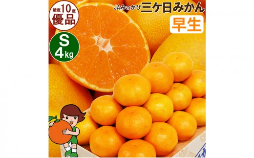 
            三ケ日みかん 早生【優品】Sサイズ4kg(48個前後)  ミカン 果物 くだもの フルーツ 甘い 静岡県 浜松市 [№5360-0094]
          