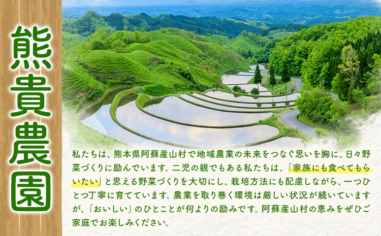 ミニトマト ほれまる 約1kg 熊貴農園《7月上旬-11月上旬出荷》熊本県 阿蘇郡 産山村 ミニトマト トマト とまと 野菜 やさい プチトマト