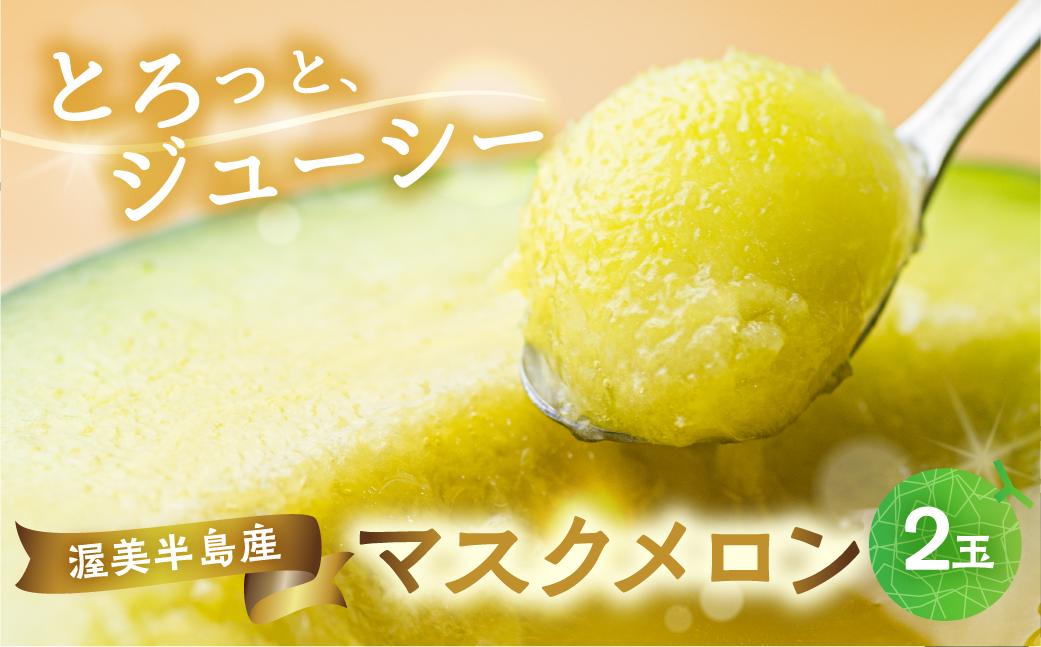 【定期便】先行予約 マスクメロン 4回お届け  伊良湖産 2玉 2025年6月スタート  マルカ農園
