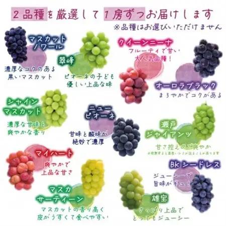 岡山　花笑み農園のブドウ『10月おすすめ 2種セット』1kg(2房)2M-1L【配送不可地域：離島・北海道・沖縄県】【1627769】