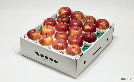 ＜ 先行予約 ＞ りんご 葉取らず ふじ 秀品 約 5kg 13～20玉 【2026年11月下旬から12月下旬発送】 山形県 朝日町産 山形県産 果物 フルーツ リンゴ 林檎 秋 冬