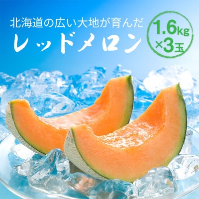 【先行受付】2026年産 北海道赤肉メロン (約1.6kg×3玉)_05411【1672614】