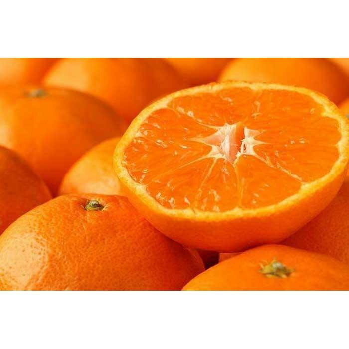 【ふるさと納税】［選べる容量］和歌山産 みかん 秀品 3～10kg［ヤマタ大谷商店］ | 和歌山市 みかん 秀品 柑橘 果物 甘み 濃厚 人気 おすすめ フルーツ スイーツ素材 ギフト お取り寄せ 通販 送料無料 ふるさと納税