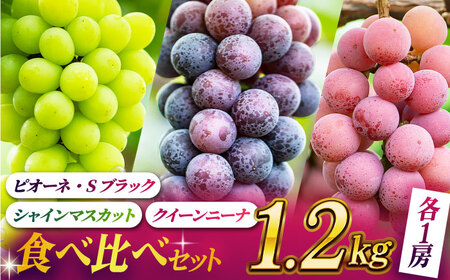 【2026年発送先行予約】ぶどうの宝石 3色 食べ比べセット 計1.2kg（3房）【合同会社 社方園】ぶどう詰め合わせ 熊本 九州産 国産 クイーンニーナ マスカット [ZBZ004]