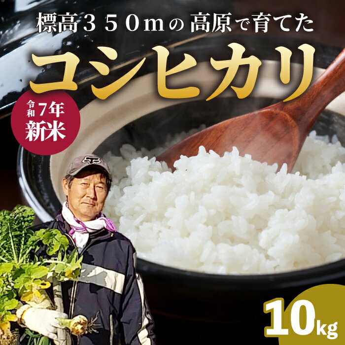 【ふるさと納税】【令和7年新米】コシヒカリ 精米（白米）10kg こしひかり ごはん お米 米 おにぎり 181001