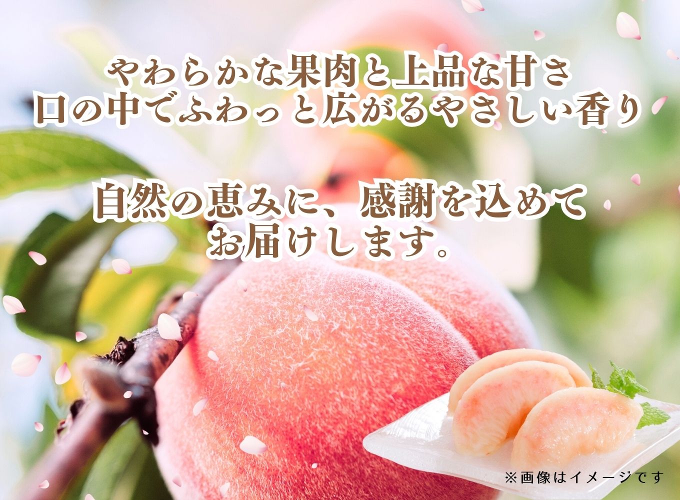 山梨の桃 5～6玉 2kg箱　2025年7月中旬から発送　大倉農園[5839-0005]
