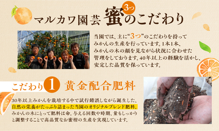 ≪先行予約≫こだわり蜜柑 蜜ツ丸 厳選プレミアム レギュラー箱 約5kg みかん みかん みかん みかん みかん みかん