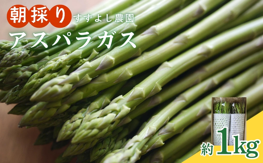 No.0793 【農家直送】鮮度抜群！ アスパラガス 約1kg【2026年発送】