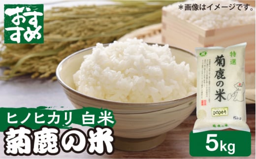 菊鹿の米 ヒノヒカリ 5kg【有限会社 あそしな米穀】 [ZBI016]