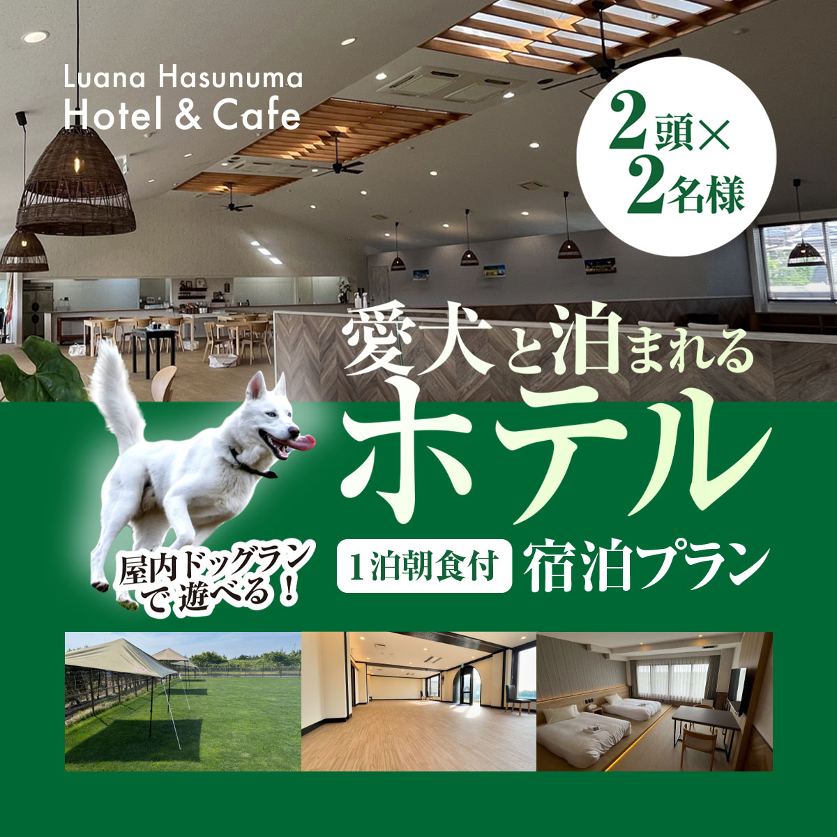 【ふるさと納税】愛犬と泊まれるホテル Luana Hasunuma HOTEL&CAFE 1泊朝食付宿泊プラン（2頭・2名様）／ホテル 宿泊 カフェ 愛犬と一緒に泊まれる ペットと泊まれる宿 ドッグラン 愛犬 犬 小型犬 中型犬 自然 蓮沼海岸 千葉県 山武市 SMCD001