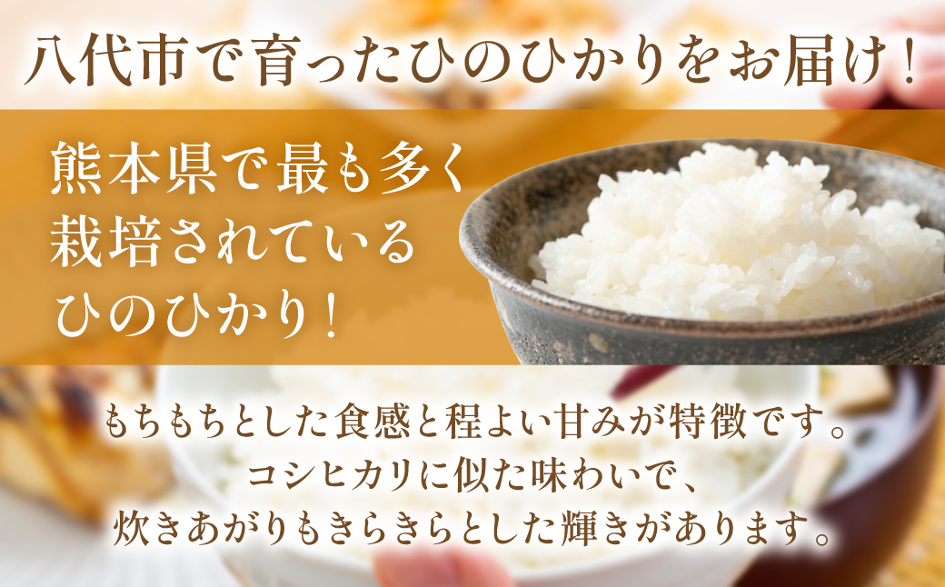 【先行予約】《令和7年産》 ヒノヒカリ 5kg×2袋 合計10kg 熊本県 八代市産 米 お米 精米 白米 国産 【2025年11月下旬より順次発送】